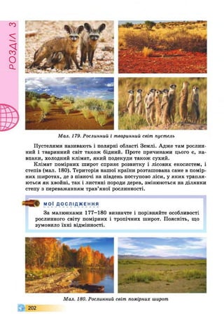 РОЗДІЛз
Мал. 179. Рослинний і тваринний світ пустель
Пустелями називають і полярні області Землі. Адже там рослин­
ний і тваринний світ також бідний. Проте причинами цього е, на­
впаки, холодний клімат, який подекуди також сухий.
Клімат помірних широт сприяє розвитку і лісових екосистем, і
степів (мал. 180). Територія нашої країни розташована саме в помір­
них широтах, де з півночі на південь поступово ліси, у яких трапля­
ються як хвойні, так і листяні породи дерев, змінюються на ділянки
степу з переважанням трав’яної рослинності.
МОЇ ДОСЛІДЖЕННЯ
За малюнками 177-180 визначте і порівняйте особливості
рослинного світу помірних і тропічних широт. Поясніть, що
зумовило їхні відмінності.
 