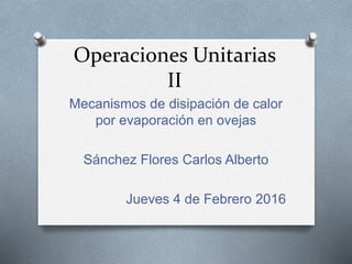Operaciones Unitarias
II
Mecanismos de disipación de calor
por evaporación en ovejas
Sánchez Flores Carlos Alberto
Jueves 4 de Febrero 2016
 