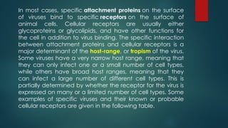 In most cases, specific attachment proteins on the surface
of viruses bind to specific receptors on the surface of
animal cells. Cellular receptors are usually either
glycoproteins or glycolipids, and have other functions for
the cell in addition to virus binding. The specific interaction
between attachment proteins and cellular receptors is a
major determinant of the host-range, or tropism of the virus.
Some viruses have a very narrow host range, meaning that
they can only infect one or a small number of cell types,
while others have broad host ranges, meaning that they
can infect a large number of different cell types. This is
partially determined by whether the receptor for the virus is
expressed on many or a limited number of cell types. Some
examples of specific viruses and their known or probable
cellular receptors are given in the following table.
 