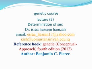 genetic course
lecture (5)
Determination of sex
Dr. israa hussein hamzah
email: esraa_hassan17@yahoo.com
szsh@uomustansiriyah.edu.iq
Reference book: genetic (Conceptual-
Approach) fourth edition (2012)
Author: Benjamin C. Pierce
 