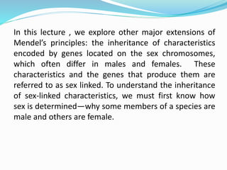 In this lecture , we explore other major extensions of
Mendel’s principles: the inheritance of characteristics
encoded by genes located on the sex chromosomes,
which often differ in males and females. These
characteristics and the genes that produce them are
referred to as sex linked. To understand the inheritance
of sex-linked characteristics, we must first know how
sex is determined—why some members of a species are
male and others are female.
 