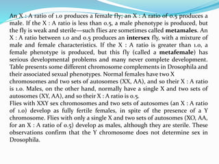 An X : A ratio of 1.0 produces a female fly; an X : A ratio of 0.5 produces a
male. If the X : A ratio is less than 0.5, a male phenotype is produced, but
the fly is weak and sterile—such flies are sometimes called metamales. An
X : A ratio between 1.0 and 0.5 produces an intersex fly, with a mixture of
male and female characteristics. If the X : A ratio is greater than 1.0, a
female phenotype is produced, but this fly (called a metafemale) has
serious developmental problems and many never complete development.
Table presents some different chromosome complements in Drosophila and
their associated sexual phenotypes. Normal females have two X
chromosomes and two sets of autosomes (XX, AA), and so their X : A ratio
is 1.0. Males, on the other hand, normally have a single X and two sets of
autosomes (XY, AA), and so their X : A ratio is 0.5.
Flies with XXY sex chromosomes and two sets of autosomes (an X : A ratio
of 1.0) develop as fully fertile females, in spite of the presence of a Y
chromosome. Flies with only a single X and two sets of autosomes (XO, AA,
for an X : A ratio of 0.5) develop as males, although they are sterile. These
observations confirm that the Y chromosome does not determine sex in
Drosophila.
 