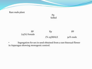 Rare male plant
Pp
Selfed
PP Pp PP
(25%) Female
(% 25)MALE 50% male
• Segregation for sex in seed obtained from a rare bisexual flower
in Asparagus showing monogenic control.
 