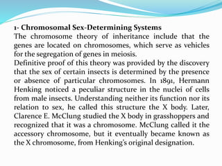 1- Chromosomal Sex-Determining Systems
The chromosome theory of inheritance include that the
genes are located on chromosomes, which serve as vehicles
for the segregation of genes in meiosis.
Definitive proof of this theory was provided by the discovery
that the sex of certain insects is determined by the presence
or absence of particular chromosomes. In 1891, Hermann
Henking noticed a peculiar structure in the nuclei of cells
from male insects. Understanding neither its function nor its
relation to sex, he called this structure the X body. Later,
Clarence E. McClung studied the X body in grasshoppers and
recognized that it was a chromosome. McClung called it the
accessory chromosome, but it eventually became known as
the X chromosome, from Henking’s original designation.
 