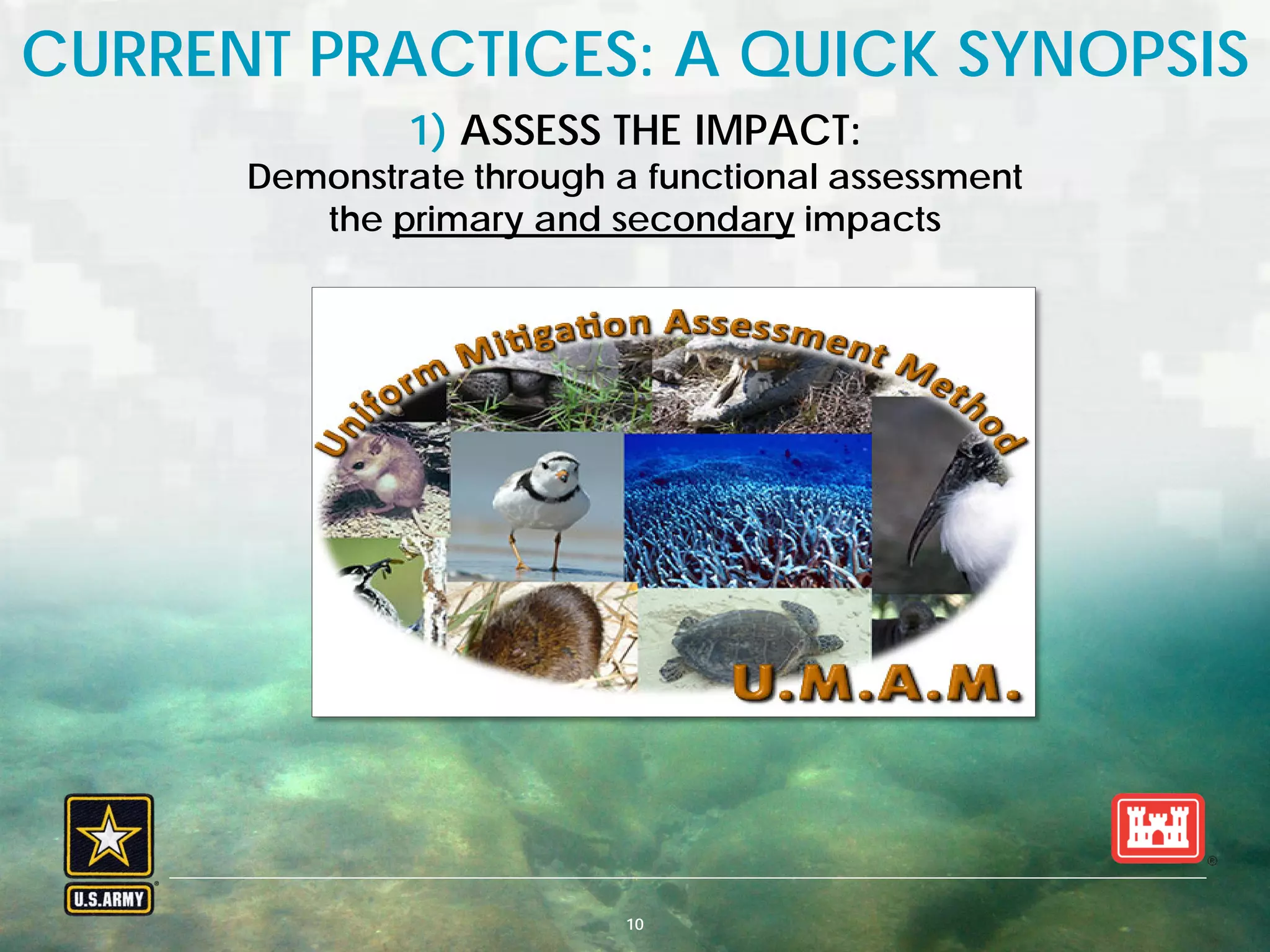 BUILDING STRONG® U.S. ARMY CORPS OF ENGINEERS | Jacksonville District10
CURRENT PRACTICES: A QUICK SYNOPSIS
1) ASSESS THE IMPACT:
Demonstrate through a functional assessment
the primary and secondary impacts
 