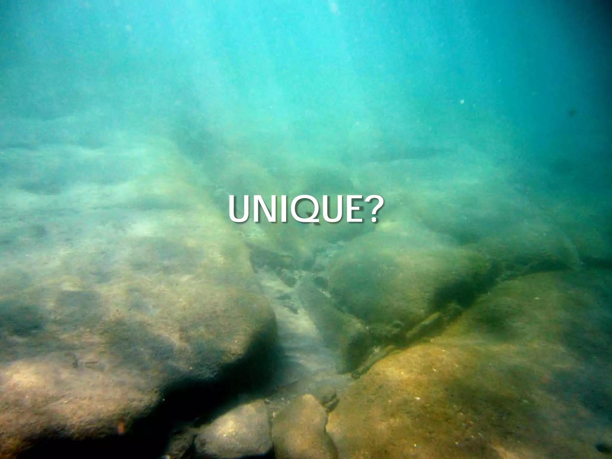 BUILDING STRONG® U.S. ARMY CORPS OF ENGINEERS | Jacksonville District
UNIQUE?
 