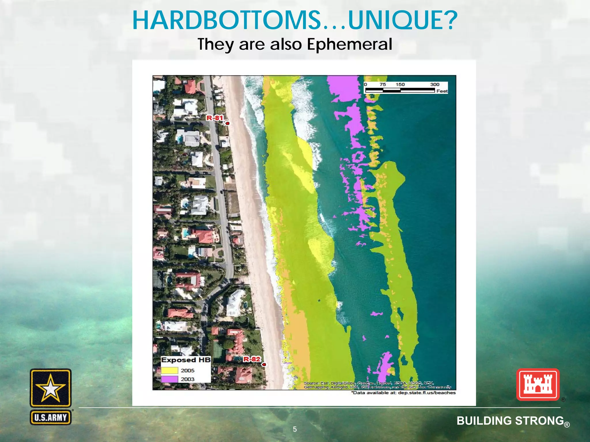 BUILDING STRONG® U.S. ARMY CORPS OF ENGINEERS | Jacksonville District
HARDBOTTOMS…UNIQUE?
BUILDING STRONG®
5
They are also Ephemeral
 