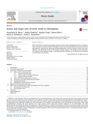 Review
Action and target sites of nitric oxide in chloroplasts
Amarendra N. Misra a,⇑
, Radka Vladkova b
, Ranjeet Singh a
, Meena Misra a
,
Anelia G. Dobrikova b
, Emilia L. Apostolova b
a
Centre for Life Sciences, School of Natural Sciences, Central University of Jharkhand, Ratu Lohardaga Road, Brambe, Ranchi 435020, India
b
Institute of Biophysics and Biomedical Engineering, Bulgarian Academy of Sciences, Acad. G. Bonchev Str., Bl.21, Soﬁa 1113, Bulgaria
a r t i c l e i n f o
Article history:
Received 28 June 2013
Revised 17 March 2014
Available online 13 April 2014
Keywords:
Nitric oxide
Chloroplast
Photosynthetic electron transport
Oxygen evolution
Photophosphorylation
a b s t r a c t
Nitric oxide (NO) is an important signalling molecule in plants under physiological and stress conditions.
Here we review the inﬂuence of NO on chloroplasts which can be directly induced by interaction with the
photosynthetic apparatus by inﬂuencing photophosphorylation, electron transport activity and oxido-
reduction state of the Mn clusters of the oxygen-evolving complex or by changes in gene expression.
The inﬂuence of NO-induced changes in the photosynthetic apparatus on its functions and sensitivity
to stress factors are discussed.
Ó 2014 Elsevier Inc. All rights reserved.
Contents
1. Introduction . . . . . . . . . . . . . . . . . . . . . . . . . . . . . . . . . . . . . . . . . . . . . . . . . . . . . . . . . . . . . . . . . . . . . . . . . . . . . . . . . . . . . . . . . . . . . . . . . . . . . . . . . . 36
2. Chloroplasts generate NO . . . . . . . . . . . . . . . . . . . . . . . . . . . . . . . . . . . . . . . . . . . . . . . . . . . . . . . . . . . . . . . . . . . . . . . . . . . . . . . . . . . . . . . . . . . . . . . 36
3. Target sites of NO action in chloroplasts . . . . . . . . . . . . . . . . . . . . . . . . . . . . . . . . . . . . . . . . . . . . . . . . . . . . . . . . . . . . . . . . . . . . . . . . . . . . . . . . . . . 36
3.1. Effects of NO on photosystem II. . . . . . . . . . . . . . . . . . . . . . . . . . . . . . . . . . . . . . . . . . . . . . . . . . . . . . . . . . . . . . . . . . . . . . . . . . . . . . . . . . . . . 36
3.1.1. Electron transport chain. . . . . . . . . . . . . . . . . . . . . . . . . . . . . . . . . . . . . . . . . . . . . . . . . . . . . . . . . . . . . . . . . . . . . . . . . . . . . . . . . . . . 36
3.1.2. Effects of NO on PSII photochemistry . . . . . . . . . . . . . . . . . . . . . . . . . . . . . . . . . . . . . . . . . . . . . . . . . . . . . . . . . . . . . . . . . . . . . . . . . 37
3.1.3. Oxygen evolving complex . . . . . . . . . . . . . . . . . . . . . . . . . . . . . . . . . . . . . . . . . . . . . . . . . . . . . . . . . . . . . . . . . . . . . . . . . . . . . . . . . . 37
3.2. Effect of NO on the photosystem I activity . . . . . . . . . . . . . . . . . . . . . . . . . . . . . . . . . . . . . . . . . . . . . . . . . . . . . . . . . . . . . . . . . . . . . . . . . . . . 40
3.3. Interaction of NO with cytochrome b6f complex. . . . . . . . . . . . . . . . . . . . . . . . . . . . . . . . . . . . . . . . . . . . . . . . . . . . . . . . . . . . . . . . . . . . . . . . 40
3.4. Photophosphorylation . . . . . . . . . . . . . . . . . . . . . . . . . . . . . . . . . . . . . . . . . . . . . . . . . . . . . . . . . . . . . . . . . . . . . . . . . . . . . . . . . . . . . . . . . . . . . 41
3.5. Modulation of Carbon dioxide reduction . . . . . . . . . . . . . . . . . . . . . . . . . . . . . . . . . . . . . . . . . . . . . . . . . . . . . . . . . . . . . . . . . . . . . . . . . . . . . . 41
4. Regulation of plastid gene expression. . . . . . . . . . . . . . . . . . . . . . . . . . . . . . . . . . . . . . . . . . . . . . . . . . . . . . . . . . . . . . . . . . . . . . . . . . . . . . . . . . . . . . 41
5. Effect of NO on photosynthesis under physiological and stress conditions . . . . . . . . . . . . . . . . . . . . . . . . . . . . . . . . . . . . . . . . . . . . . . . . . . . . . . . . 41
5.1. Development and senescence. . . . . . . . . . . . . . . . . . . . . . . . . . . . . . . . . . . . . . . . . . . . . . . . . . . . . . . . . . . . . . . . . . . . . . . . . . . . . . . . . . . . . . . 41
5.2. NO and abiotic stress . . . . . . . . . . . . . . . . . . . . . . . . . . . . . . . . . . . . . . . . . . . . . . . . . . . . . . . . . . . . . . . . . . . . . . . . . . . . . . . . . . . . . . . . . . . . . 42
6. Conclusion . . . . . . . . . . . . . . . . . . . . . . . . . . . . . . . . . . . . . . . . . . . . . . . . . . . . . . . . . . . . . . . . . . . . . . . . . . . . . . . . . . . . . . . . . . . . . . . . . . . . . . . . . . . 43
Acknowledgments . . . . . . . . . . . . . . . . . . . . . . . . . . . . . . . . . . . . . . . . . . . . . . . . . . . . . . . . . . . . . . . . . . . . . . . . . . . . . . . . . . . . . . . . . . . . . . . . . . . . . 43
References . . . . . . . . . . . . . . . . . . . . . . . . . . . . . . . . . . . . . . . . . . . . . . . . . . . . . . . . . . . . . . . . . . . . . . . . . . . . . . . . . . . . . . . . . . . . . . . . . . . . . . . . . . . 43
http://dx.doi.org/10.1016/j.niox.2014.04.003
1089-8603/Ó 2014 Elsevier Inc. All rights reserved.
Abbreviations: Chl, chlorophyll; cPTIO, 2-(4-carboxyphenyl)-4,4,5,5-tetramethylimidazoline-l-oxyl-3-oxide; cyt b6f, cytochrome b6f; ETR, electron transport rate through
PSII; Fm/Fo, ratio of the maximal to minimal ﬂuorescence in dark adapted state; Fv/Fm, maximal quantum efﬁciency of PSII photochemistry in dark adapted state; Fv0
/Fm0
,
efﬁciency of excitation energy capture by open PSII reaction centres; UPSII, effective quantum yield (efﬁciency) of PSII photochemistry in light adapted state; GSNO, S-
nitrosoglutathione; GSSG, glutathione disulphide; NO, nitric oxide; NOR2, (±)-(E)-4-methyl-2-[(E)-hydroxyimino]-5-nitro-3-hexenamide; NOS, nitric oxide synthase; NPQ,
non-photochemical quenching; NR, nitrate reductase; OEC, oxygen evolving complex; PAM, pulse amplitude modulation; Pn, net photosynthetic rate; PPFD,
photosynthetically active photon ﬂux density; PSI, photosystem I; PSII, photosystem II; qL, coefﬁcient of photochemical ﬂuorescence quenching assuming interconnected
PSII antennae; qN, non-photochemical quenching coefﬁcient; qP, coefﬁcient of photochemical ﬂuorescence quenching assuming non-interconnected PSII antennae; ROS,
reactive oxygen species; Rubisco, ribulose-1,5-bisphosphate carboxylase/oxygenase; SNAP, S-nitroso-N-acetylpenicillinamine; SIN-1, 3-morpholinosydnonimine; SNOC, S-
nitrosocysteine; SNP, sodiumnitroprusside.
⇑ Corresponding author. Fax: +91 6531 294161.
E-mail address: misraan@yahoo.co.uk (A.N. Misra).
Nitric Oxide 39 (2014) 35–45
Contents lists available at ScienceDirect
Nitric Oxide
journal homepage: www.elsevier.com/locate/yniox
 