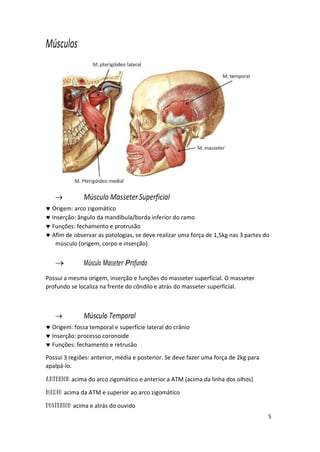 5
Músculos
 Músculo MasseterSuperficial
 Origem: arco zigomático
 Inserção: ângulo da mandíbula/borda inferior do ramo
 Funções: fechamento e protrusão
 Afim de observar as patologias, se deve realizar uma força de 1,5kg nas 3 partes do
músculo (origem, corpo e inserção).
 Músculo Masseter Profundo
Possui a mesma origem, inserção e funções do masseter superficial. O masseter
profundo se localiza na frente do côndilo e atrás do masseter superficial.
 Músculo Temporal
 Origem: fossa temporal e superfície lateral do crânio
 Inserção: processo coronoide
 Funções: fechamento e retrusão
Possui 3 regiões: anterior, média e posterior. Se deve fazer uma força de 2kg para
apalpá-lo.
acima do arco zigomático e anterior a ATM (acima da linha dos olhos)
acima da ATM e superior ao arco zigomático
acima e atrás do ouvido
 