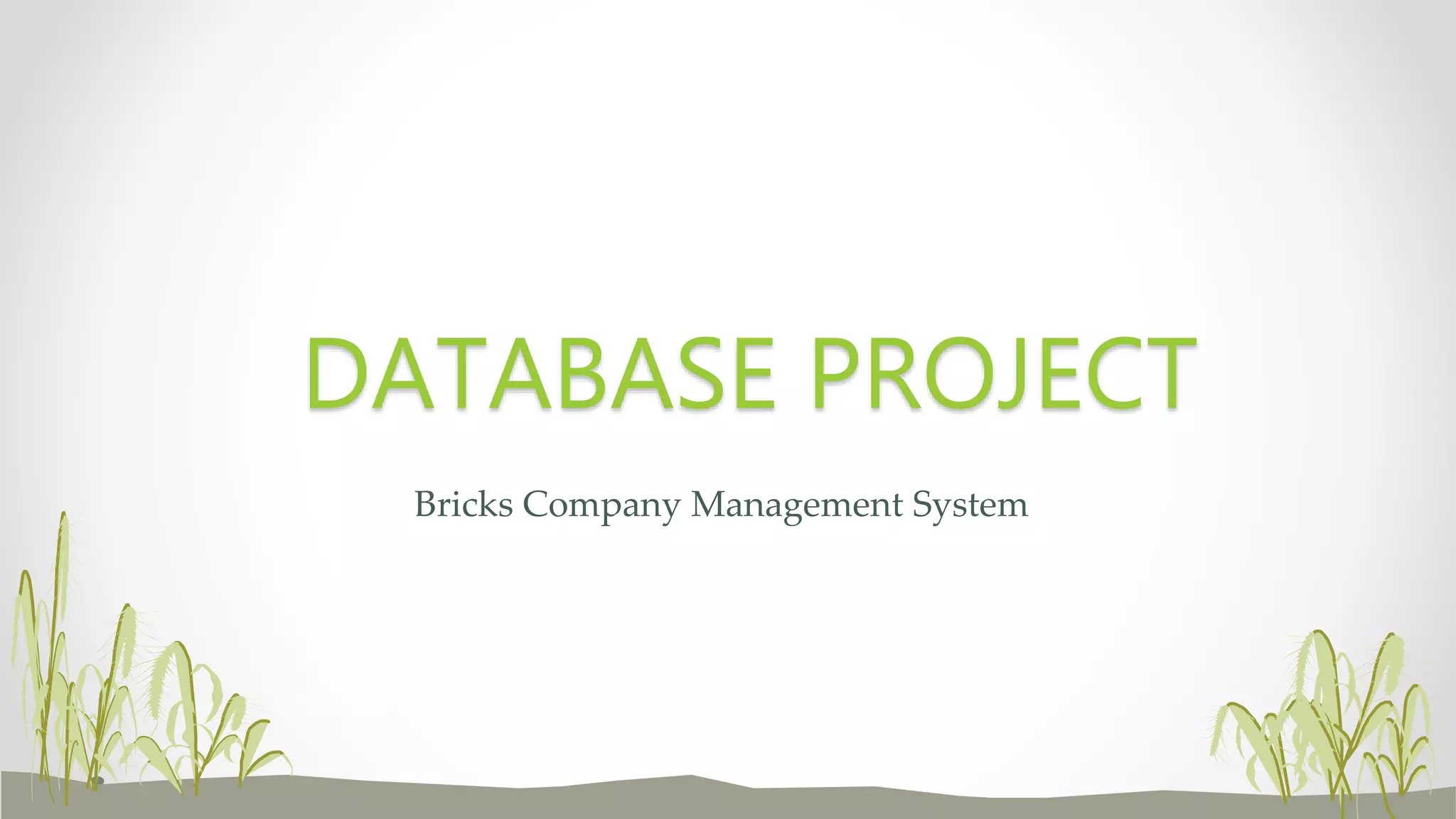 Bricks Company Management System
DATABASE PROJECT
 
