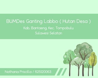 BUMDes Ganting Labbo ( Hutan Desa )
Kab, Bantaeng, Kec. Tompobulu
Sulawesi Selatan
Nathania Priscilla / 625120063
 