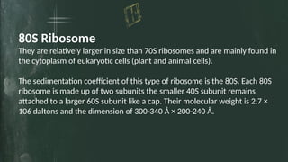 625638897-Ribosomes-Ppt-New-1 .pptx