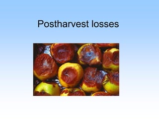 Postharvest losses
 