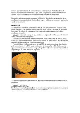 mortas, que se esvaziaram de sua substância e estão separadas por bolhas de ar. A
medula muitas vezes é intermitente e, por vezes, chega a estar até mesmo totalmente
ausente, o que faz supor que ela não tenha uma real importância funcional.
Em muitos animais a medula representa 2/3 do pêlo. São células vazias, cheias de ar,
que fazem às vezes de isolante térmico. Esse papel é inútil par ao homem, o que explica
seu desaparecimento.
O CÓRTEX
As células queratinizadas, situadas no centro do folículo, tornam uma forma de fuso,
muito alongada. Elas constituem o coração do cabelo: o córtex. Trata-se da parte mais
importante do cabelo. O córtex contribui, em grande parte, para as propriedades
mecânicas do cabelo:
- Solidez: a carga necessária para que se obtenha a ruptura de um fio de cabelo natural
sadio, varia entre 50 a 100 gramas.
- Elasticidade: se esticarmos moderadamente um fio de cabelo seco ou úmido, ele se
recuperará bastante rapidamente seu comprimento inicial. Entretanto, é preciso que esse
alongamento não ultrapasse 3% aproximadamente.
- Permeabilidade: o cabelo pode absorver até 35% de seu peso em água. Seu diâmetro
pode aumentar em 15 a 20%, seu comprimento, de somente 0,5 a 2%. A absorção da
água vem acompanhada de uma dilatação, da qual depende a maior ou menor facilidade
de penetração de certas moléculas orgânicas.

As células corticais são coladas umas às outras e orientadas no sentido da haste do fio
de cabelo.
A CÉLULA CORTICAL
Fusiforme, com uma largura de 2 a 5 micrometros e comprimento de aproximadamente
100 micrometros, constitui-se de fibras: as macrofibrilas.

 