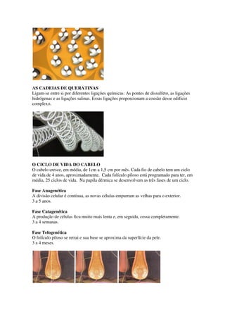 AS CADEIAS DE QUERATINAS
Ligam-se entre si por diferentes ligações químicas: As pontes de dissulfeto, as ligações
hidrógenas e as ligações salinas. Essas ligações proporcionam a coesão desse edifício
complexo.

O CICLO DE VIDA DO CABELO
O cabelo cresce, em média, de 1cm a 1,5 cm por mês. Cada fio de cabelo tem um ciclo
de vida de 4 anos, aproximadamente. Cada folículo piloso está programado para ter, em
média, 25 ciclos de vida. Na papila dérmica se desenvolvem as três fases de um ciclo.
Fase Anagenética
A divisão celular é contínua, as novas células empurram as velhas para o exterior.
3 a 5 anos.
Fase Catagenética
A produção de células fica muito mais lenta e, em seguida, cessa completamente.
3 a 4 semanas.
Fase Telogenética
O folículo piloso se retrai e sua base se aproxima da superfície da pele.
3 a 4 meses.

 