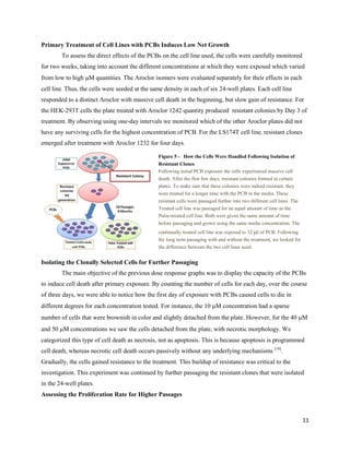 11
Primary Treatment of Cell Lines with PCBs Induces Low Net Growth
To assess the direct effects of the PCBs on the cell line used, the cells were carefully monitored
for two weeks, taking into account the different concentrations at which they were exposed which varied
from low to high M quantities. The Aroclor isomers were evaluated separately for their effects in each
cell line. Thus, the cells were seeded at the same density in each of six 24-well plates. Each cell line
responded to a distinct Aroclor with massive cell death in the beginning, but slow gain of resistance. For
the HEK-293T cells the plate treated with Aroclor 1242 quantity produced resistant colonies by Day 3 of
treatment. By observing using one-day intervals we monitored which of the other Aroclor plates did not
have any surviving cells for the highest concentration of PCB. For the LS174T cell line, resistant clones
emerged after treatment with Aroclor 1232 for four days.
Isolating the Clonally Selected Cells for Further Passaging
The main objective of the previous dose response graphs was to display the capacity of the PCBs
to induce cell death after primary exposure. By counting the number of cells for each day, over the course
of three days, we were able to notice how the first day of exposure with PCBs caused cells to die in
different degrees for each concentration tested. For instance, the 10 M concentration had a sparse
number of cells that were brownish in color and slightly detached from the plate. However, for the 40 M
and 50 M concentrations we saw the cells detached from the plate, with necrotic morphology. We
categorized this type of cell death as necrosis, not as apoptosis. This is because apoptosis is programmed
cell death, whereas necrotic cell death occurs passively without any underlying mechanisms [19]
.
Gradually, the cells gained resistance to the treatment. This buildup of resistance was critical to the
investigation. This experiment was continued by further passaging the resistant clones that were isolated
in the 24-well plates.
Assessing the Proliferation Rate for Higher Passages
Figure 5 - How the Cells Were Handled Following Isolation of
Resistant Clones
Following initial PCB exposure the cells experienced massive cell
death. After the first few days, resistant colonies formed in certain
plates. To make sure that these colonies were indeed resistant, they
were treated for a longer time with the PCB in the media. These
resistant cells were passaged further into two different cell lines. The
Treated cell line was passaged for an equal amount of time as the
Pulse-treated cell line. Both were given the same amount of time
before passaging and grown using the same media concentration. The
continually treated cell line was exposed to 32 l of PCB. Following
the long term passaging with and without the treatment, we looked for
the difference between the two cell lines used.
Resistant Colony
 