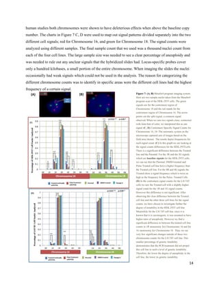 14
human studies both chromosomes were shown to have deleterious effects when above the baseline copy
number. The charts in Figure 7 C, D were used to map out signal patterns divided separately into the two
different cell signals; red for Chromosome 16, and green for Chromosome 18. The signal counts were
analyzed using different samples. The final sample count that we used was a thousand nuclei count from
each of the four cell lines. The large sample size was needed to see a clear percentage of aneuploidy and
was needed to rule out any unclear signals that the hybridized slides had. Locus-specific probes cover
only a hundred kilobases, a small portion of the entire chromosome. When imaging the slides the nuclei
occasionally had weak signals which could not be used in the analysis. The reason for categorizing the
different chromosome counts was to identify in specific areas were the different cell lines had the highest
frequency of a certain signal.
Figure 7- (A, B) Metafer4 program imaging system-
Here are two sample nuclei taken from the Metafer4
program scan of the HEK-293T cells. The green
signals are for the centromere region of
Chromosome 18 and the red stands for the
centromere region of Chromosome 16. The arrow
points out the split signal, a common signal
observed. When we saw two signals close, connected
with faint hint of color, we interpreted this as one
signal. (C, D) Centromere Specific Signal Counts for
Chromosome 16, 18- The automatic system on the
microscope captured sets of images based on the
field area chosen. The results depict frequencies for
each signal count. (C) In this graph we are looking at
the signal counts differences for the HEK-293Tcells.
There is a significant difference between the Treated
line and the Parental. For the 3R and the 3G signals
which are baseline signals for the HEK-293T cells,
we can see that the Parental, DMSO-treated and
Pulse Treated cell line have a higher frequency than
the Treated cell line. For the 4R and 4G signals the
Treated show a signal frequency which is twice as
high as the frequency for the Pulse- Treated Cells.
(D) In the centromere signal counts for the LS174T
cells we saw the Treated cell with a slightly higher
signal count for the 1R and 1G signal counts.
However this difference is not significant. After
observing the clear difference between the Treated
cell line and the other three cell lines for the signal
counts, we have chosen to investigate further the
degree of instability in the HEK-293T cell line.
Meanwhile for the LS174T cell line, since it is
known that it is carcinogenic, it was assumed to have
higher rates of aneuploidy. However we find a
significant difference in between the treated cell line
counts in 1R monosomy for Chromosome 16 and for
1G monosomy for Chromosome 18. Thus, we see
very few significant changes outside of these two
chromosome counts for the LS174T cell line. This
smaller percentage of genetic instability
demonstrates that the PCB treatment did not propel
this cell line to such a level of genetic instability.
Therefore, the lower the degree of aneuploidy in the
cell line, the lower its genetic instability.
(A) (B)
 