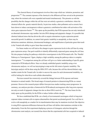 20
The classical theory of carcinogenesis involves three steps which are: initiation, promotion, and
progression [28]
. The constant exposure of the chemical to the different cell lines served as the promotion
step, where the resistant cells were expanded and treated simultaneously. This presents us with the
possibility that the changes within the cell line were not entirely a genotoxic contribution, where the
chemical affects the genetic material directly. In previous studies, other pollutants such as arsenic have
been shown to induce carcinogenesis without a genotoxic contribution but rather with activation of the
stress gene expression factors [20]
. This opens up the possibility that PCB exposure has not only introduced
an abnormal chromosome copy number, but also DNA damage and epigenetic changes. It is possible that
chemical induced stress that has driven the cells to acquire alternations in gene expression permit
successful growth. In addition, we cannot limit genetic instability to aneuploidy, as there may be
deleterious mutations, deletions, chromosomal breakages, and amplification of particular genes that result
in the Treated cells ability to grow faster than normal cells.
For future studies we will look at the changes in gene expression levels in the cell lines by using
gene expression arrays. Our goal would be to identify differentially expressed genes among the cell lines.
We also propose looking for pathways which drive tumorigenesis in the PCB-treated cells. The ‘Parallel
Pathways to Tumorigenesis’ figure, displays a high variability among the pathways taken to complete
tumorigenesis. [3]
A comparison among the cell lines will give us a better understanding of specific genes
connected to PCB-induced effects. Since we already established genetic instability using a two
chromosome analyses, we will use karyotyping to map out the full extent of genetic instability. The
karyotype analysis will be done using the HEK-293T cells, because this cell line showed distinct copy
number counts for the Treated cells. In order to uncover the cause for such chromosomal instability, we
will be looking for what drives such cellular abnormalities.
Previous research has extensively covered the linkage between PCB exposure and tumor
formation in animal models. This broad range of research pertains to characterizing PCBs as a tumor
promoter. However this research project differs from previous studies tracking cancer progression. In
summary, our analyses provides a framework for PCB-induced carcinogenesis after long term exposure
not only as result of epigenetic changes but also as direct DNA reactivity [32]
. The time frame for this
study opens up the possibility for the PCBs to induce further cellular changes.
We have established that PCBs are a family of environmental carcinogens which in long-term
exposure induce resistant cells to express abnormalities that permit accelerated growth. For a cell line to
evolve with aneuploidy as a marker for its transformation there may be mutations involved. Our objective
in using RNA expression differences between the cell lines will define what mutations correlate to this
abnormality. From the first experiment displaying a process of clonogenic selection through the
chromosome count analysis, our research has shown that the experimental cells have acquired or induced
 