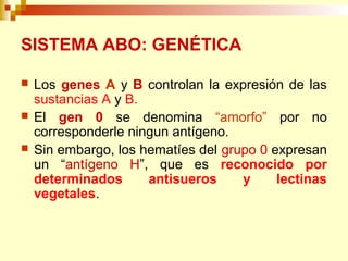 SISTEMA ABO: GENÉTICA 
 Los genes A y B controlan la expresión de las 
sustancias A y B. 
 El gen 0 se denomina “amorfo” por no 
corresponderle ningun antígeno. 
 Sin embargo, los hematíes del grupo 0 expresan 
un “antígeno H”, que es reconocido por 
determinados antisueros y lectinas 
vegetales. 
 