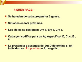FISHER-RACE: 
 Se heredan de cada progenitor 3 genes. 
 Situados en loci próximos. 
 Los alelos se designan: D y d, E y e, C y c. 
 Cada gen codifica para un Ag especifico: D, C, c, E , 
e. 
 La presencia o ausencia del Ag D determina si un 
individuo es Rh positivo o Rh negativo. 
 