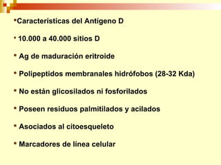 Características del Antígeno D 
 10.000 a 40.000 sitios D 
 Ag de maduración eritroide 
 Polipeptidos membranales hidrófobos (28-32 Kda) 
 No están glicosilados ni fosforilados 
 Poseen residuos palmitilados y acilados 
 Asociados al citoesqueleto 
 Marcadores de línea celular 
 