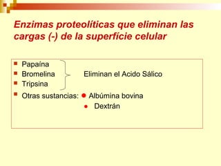 Enzimas proteolíticas que eliminan las 
cargas (-) de la superfície celular 
 Papaína 
 Bromelina Eliminan el Acido Sálico 
 Tripsina 
 Otras sustancias: ● Albúmina bovina 
● Dextrán 
 