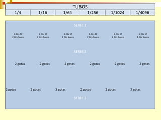 TUBOS 
1/4 1/16 1/64 1/256 1/1024 1/4096 
6 Gts SF 
2 Gts Suero 
2 gotas 
2 gotas 
6 Gts SF 
2 Gts Suero 
2 gotas 
2 gotas 
6 Gts SF 
2 Gts Suero 
2 gotas 
2 gotas 
6 Gts SF 
2 Gts Suero 
2 gotas 
2 gotas 
6 Gts SF 
2 Gts Suero 
2 gotas 
2 gotas 
6 Gts SF 
2 Gts Suero 
2 gotas 
2 gotas 
SERIE 1 
SERIE 2 
SERIE 3 
 
