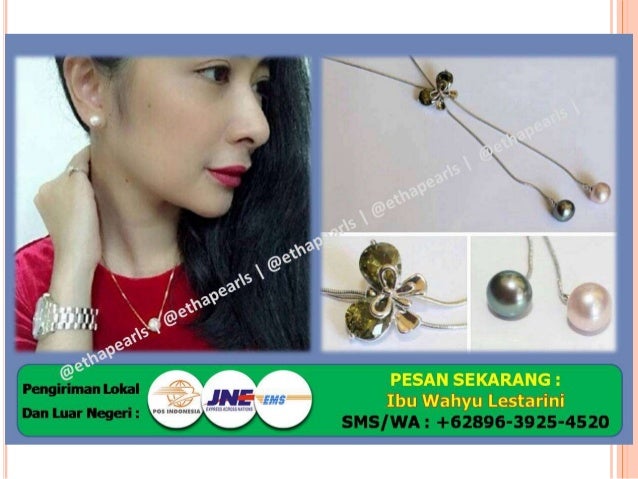 62896 3925 4520 Jual Mutiara Laut Asli Daftar Harga 62896 3925 4520 Jual Mutiara Laut Asli Daftar Harga