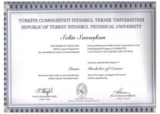Lisans Diploma