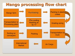 Mango Industry in pakistan - M Shaaz Shaikh | PPT