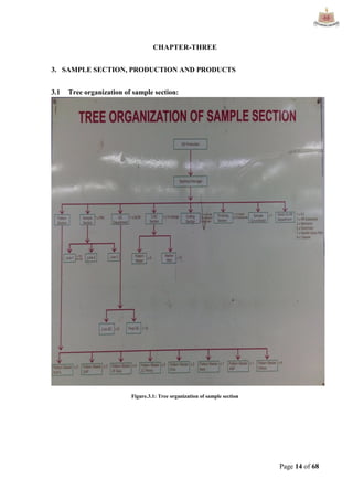 Page 14 of 68
CHAPTER-THREE
3. SAMPLE SECTION, PRODUCTION AND PRODUCTS
3.1 Tree organization of sample section:
Figure.3.1: Tree organization of sample section
 