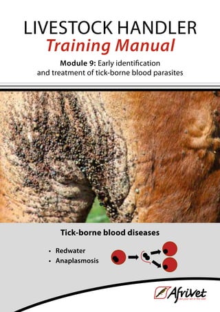 Livestock Handler
Training Manual
Module 9: Early identification
and treatment of tick-borne blood parasites
Tick-borne blood diseases
	 •	 Redwater
	 •	 Anaplasmosis
 