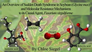 AnOverviewofSuddenDeathSyndromeinSoybean(Glycinemax)
andMolecularResistanceMechanisms
toitsCausalAgent,Fusariumvirguliforme
By Chloe SiegelJasmonic acid
Ethylene
Salicylic acid
Oxygen
 