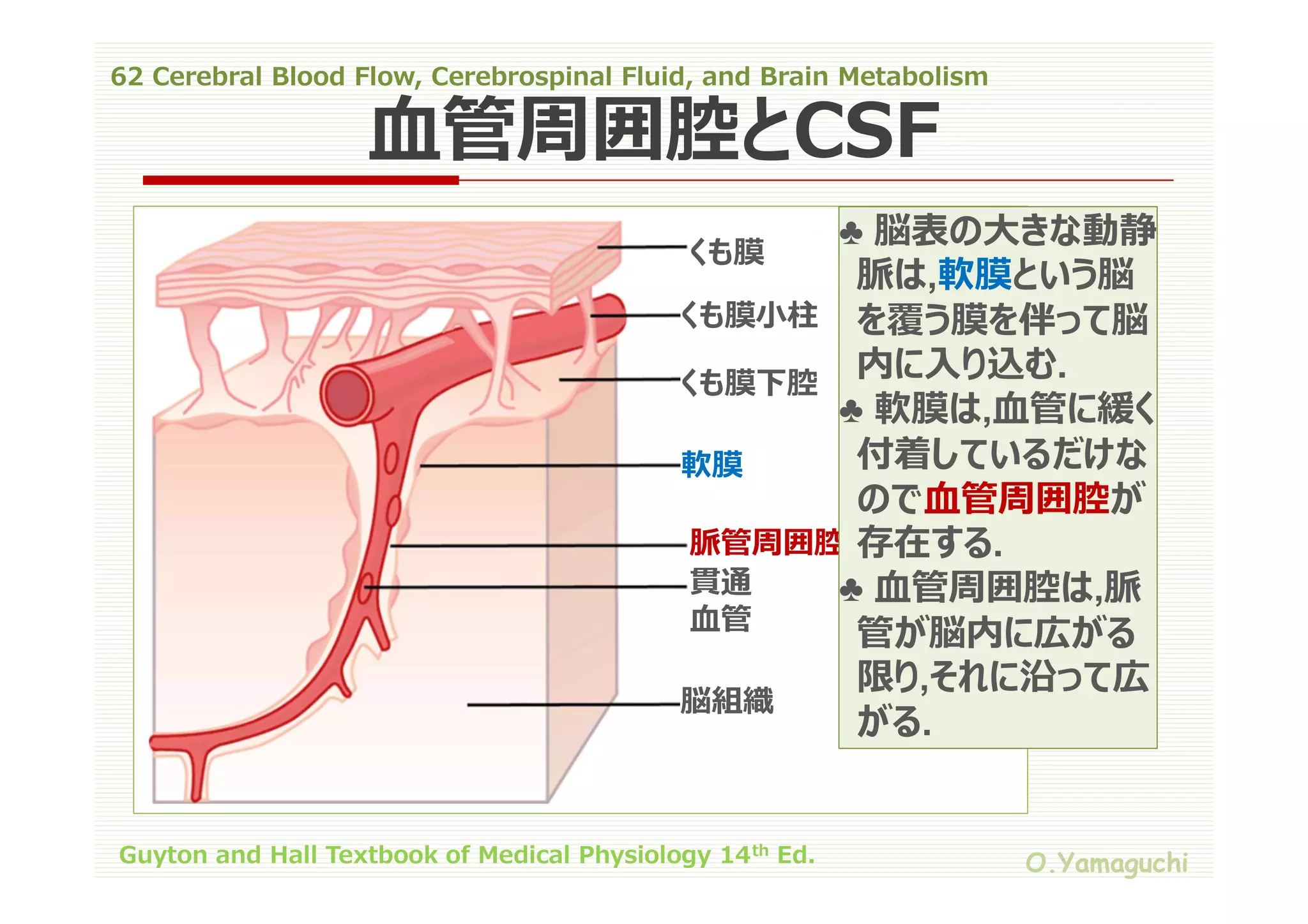 62 cerebral blood flow,cerebrospinal fluid,and brain metabolism | PDF