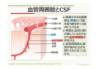 62 cerebral blood flow,cerebrospinal fluid,and brain metabolism | PDF