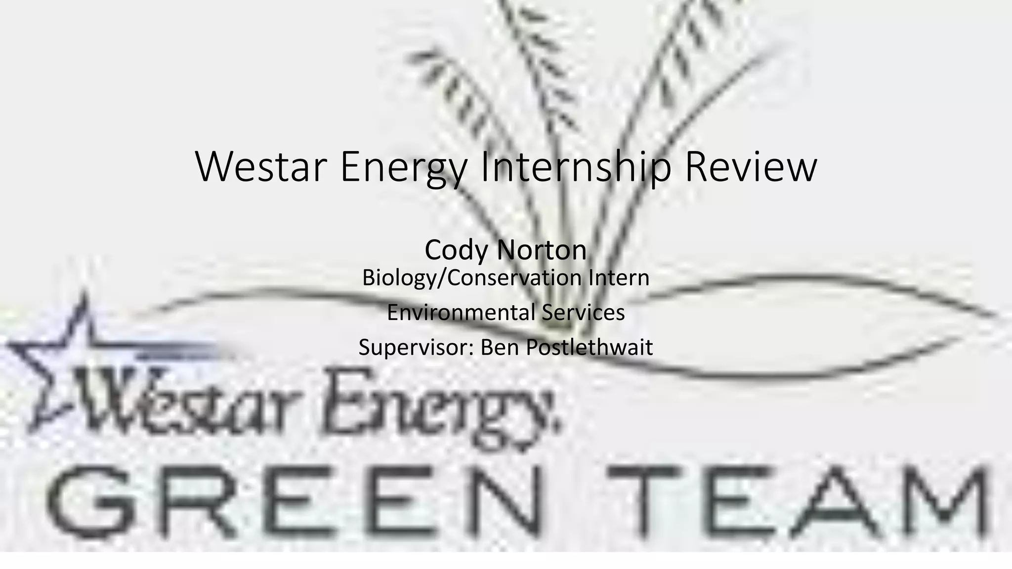 Intern Review PPT
