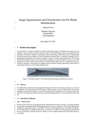 Image Segmentation and Classiﬁcation for Fin Whale1
Identiﬁcation2
Michael Ford
Kathleen Moriarty
Elijah Willie
Luke McQuaid
3
December 10, 20164
1 Problem Description5
In many ﬁelds of zoology, the ability to identify individual animals is foundational to many research6
endeavors, and can allow scientists to discover aspects of animal biology such as social dynamics and7
population distribution. However, depending on the animal being studied, the process of performing8
an identiﬁcation may be difﬁcult or involve signiﬁcant manual labour. A primary example of this is9
performing identiﬁcation of ﬁn whales, which is a species of large cetacean that lives off the coast10
of British Columbia and has unique identifying markings for each individual. There are over 70011
individual ﬁn whales, and when an animal is encountered their photo must be compared by hand to a12
reference catalogue. In this project we applied various machine learning approaches with the goal of13
automating this process of ﬁn whale identiﬁcation.
Figure 1: Example image of a ﬁn whale indicating unique identiﬁcation features.
14
1.1 Data set15
In collaboration with the Cetacean Research Program, Fisheries and Oceans Canada, we received16
a catalogue of 79 individuals with 884 images. This represents a small sample of the entire stored17
catalogue of identiﬁcation photos, however the labels for the catalogue are recorded on hard copy,18
and due to the signiﬁcant labour involved in manually labeling photos we were restricted to this data19
set.20
1.2 Identifying Challenges21
1.2.1 Data set size22
Previous work in the area of automated whale identiﬁcation has shown that this is a feasible problem.23
In particular, the Kaggle Right Whale Recognition Contest of August of 2015 [kag()] had private24
submissions achieving log-loss of 0.59600. However the Kaggle data set contained 4237 photos25
for 427 individuals, a signiﬁcant difference in scale from our data set. We recognized initially that26
the size of the data set would restrict our ability to train complex models due to the high chance of27
over-ﬁtting.28
1
 