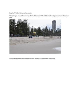 Depth of Field vs Flattened Perspective
These images are just for showing off the distance of DOF with the flattened perspective in the above
part.
Just showing off the environment and how much of a gap between everything.
 