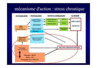 S Corone.Coeur et travail sept 08
mécanisme d'action : stress chronique
Tabagisme, Obésité
Diabète, HTA
Sédentarité, baisse HDL chol
Chronique
Tracas permanents
Inflamation
 