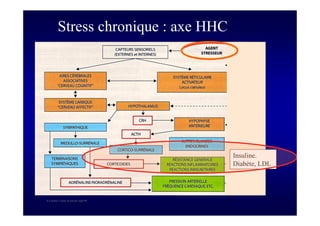 S Corone.Coeur et travail sept 08
Insuline.
Diabète, LDL
Stress chronique : axe HHC
 
