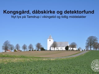 Horsens Museum
Kongsgård, dåbskirke og detektorfund
Nyt lys på Tamdrup i vikingetid og tidlig middelalder
 