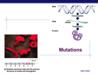 Mutations

AP Biology

2007-2008

 