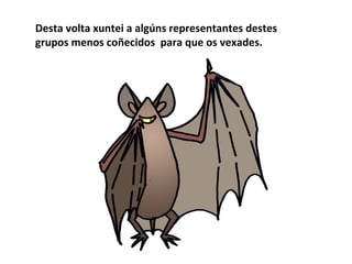 Desta volta xuntei a algúns representantes destes
grupos menos coñecidos para que os vexades.
 