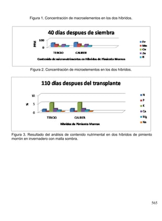 Figura 1. Concentración de macroelementos en los dos híbridos.

Figura 2. Concentración de microelementos en los dos híbridos.

Figura 3. Resultado del análisis de contenido nutrimental en dos híbridos de pimiento
morrón en invernadero con malla sombra.

565

 