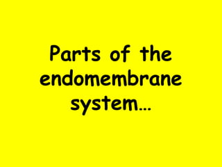 Parts of the
endomembrane
system…
 