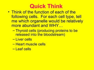 Quick Think
• Think of the function of each of the
following cells. For each cell type, tell
me which organelle would be relatively
more abundant and WHY…
– Thyroid cells (producing proteins to be
released into the bloodstream)
– Liver cells
– Heart muscle cells
– Leaf cells
 