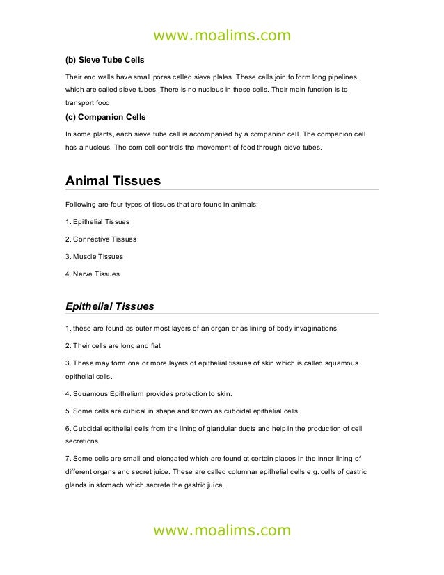 biology 2 chapter notes by n azam rahimoon custom home builder selection sheet