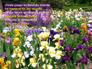 J'irais jusqu'au bout du mondeJ'irais jusqu'au bout du monde
Iré hasta el fin del mundoIré hasta el fin del mundo
Je me ferais teindre en blondeJe me ferais teindre en blonde
Me haré teñir de rubioMe haré teñir de rubio
Si tu me le demandaisSi tu me le demandais
Si tu me lo pidesSi tu me lo pides
 