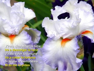 J'irais décrocher la luneJ'irais décrocher la lune
Iré a descolgar la lunaIré a descolgar la luna
J'irais voler la fortuneJ'irais voler la fortune
Iré a robar la fortunaIré a robar la fortuna
Si tu me le demandaisSi tu me le demandais
Si tu me lo pidesSi tu me lo pides
 