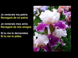 Je renierais ma patrie
Renegaré de mi patria
Je renierais mes amis
Renegaré de mis amigos
Si tu me le demandais
Si tu me lo pides
 